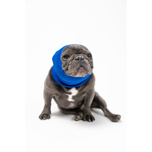 Compression sweater for dogs top